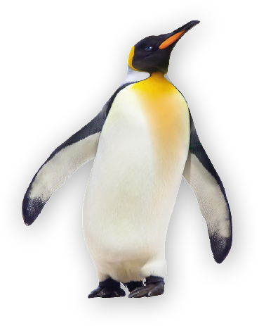 duotherm-stark Pinguin